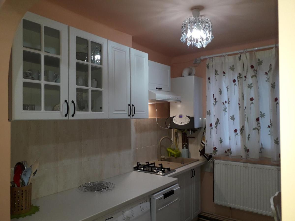 Cozy, Central 1-Bedroom Apartment In Timisoara, Romania ภายนอก รูปภาพ