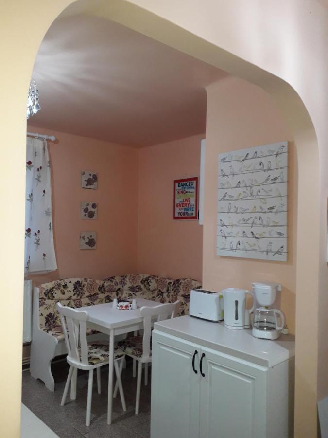 Cozy, Central 1-Bedroom Apartment In Timisoara, Romania ภายนอก รูปภาพ