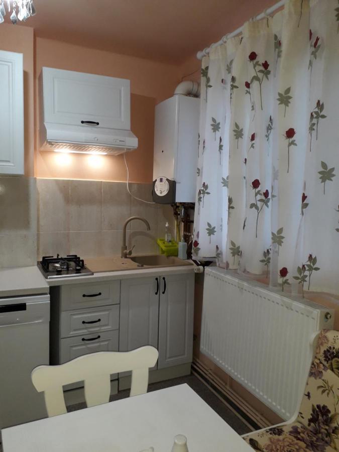 Cozy, Central 1-Bedroom Apartment In Timisoara, Romania ภายนอก รูปภาพ