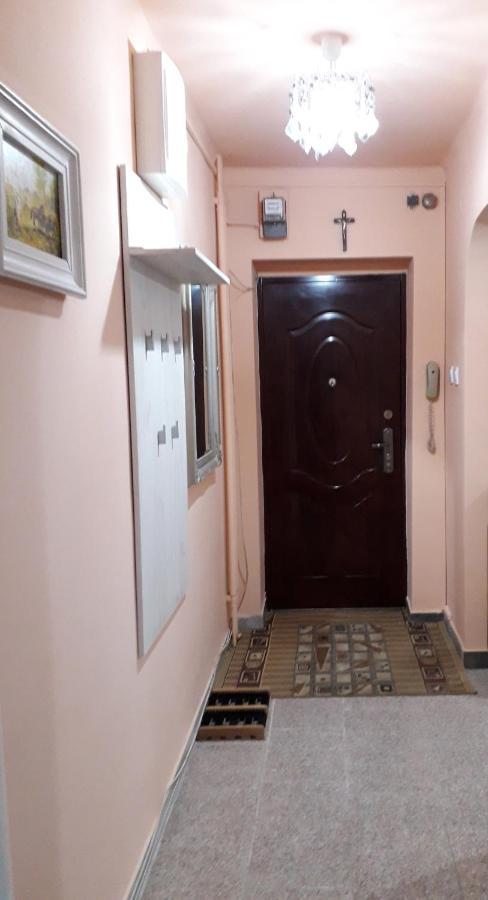 Cozy, Central 1-Bedroom Apartment In Timisoara, Romania ภายนอก รูปภาพ